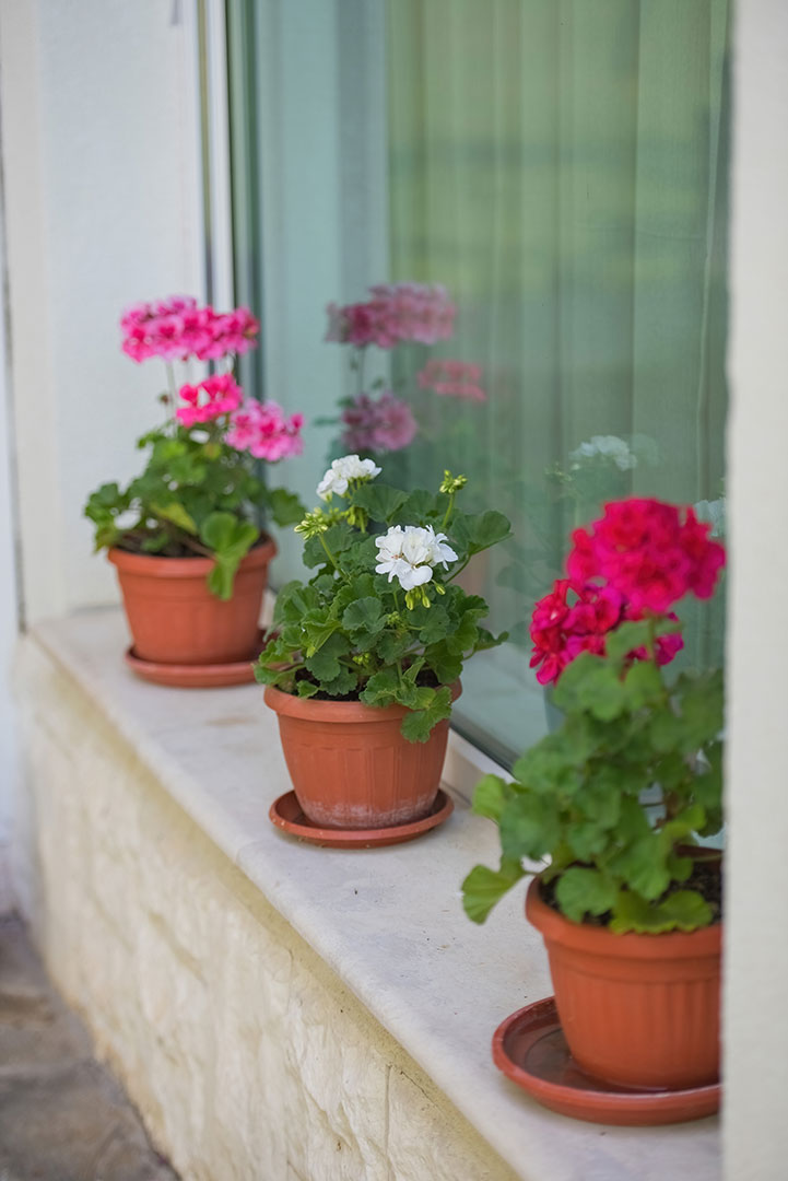 Къща за гости Трашлиеви