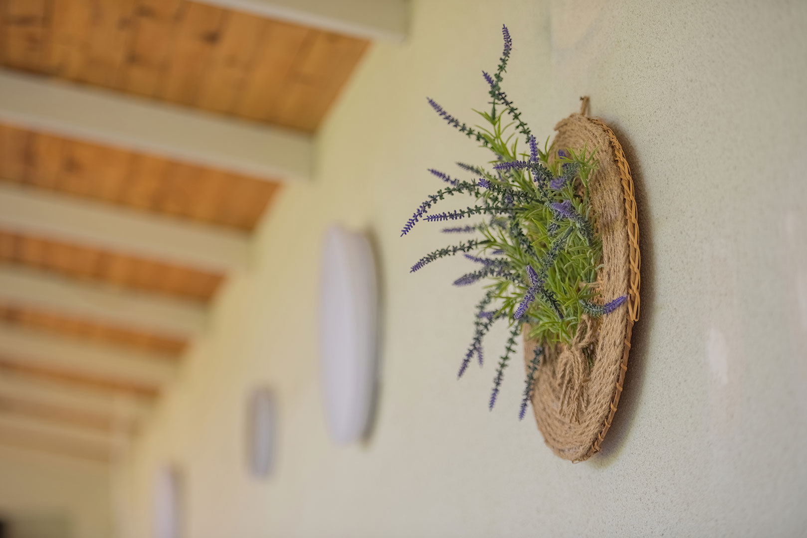 Къща за гости Трашлиеви